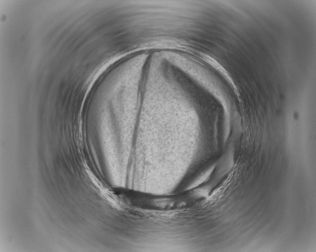 X0000053050996200508081124