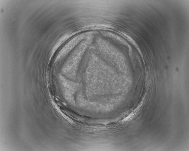 X0000053050997200508081124