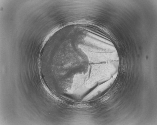 X0000053050998200508081124