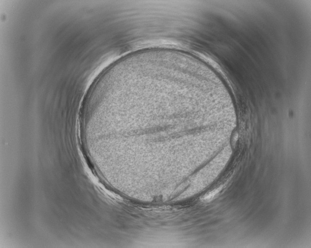 X0000053050999200508081124