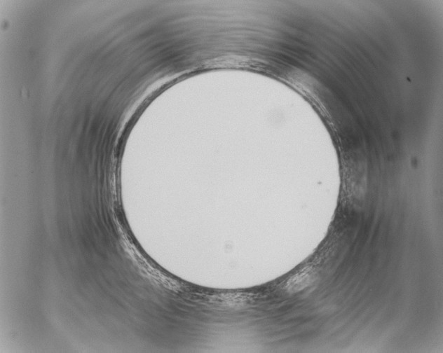 X0000053051000200508081124