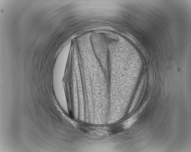 X0000053051001200508081124