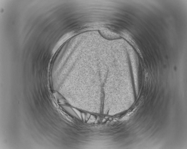 X0000053051002200508081124