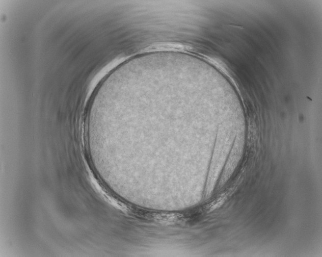 X0000053051003200508081124