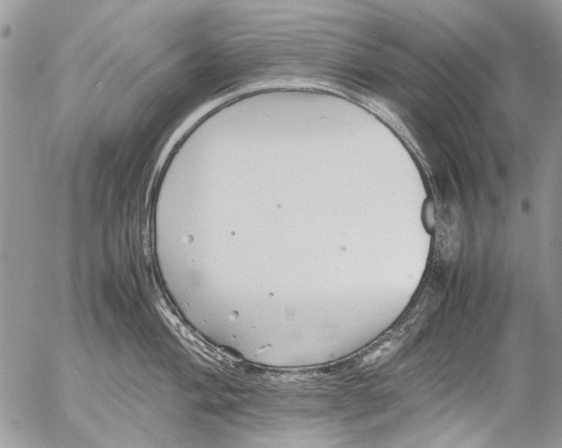 X0000053051004200508081124