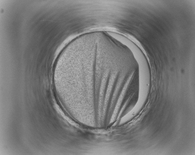 X0000053051005200508081124