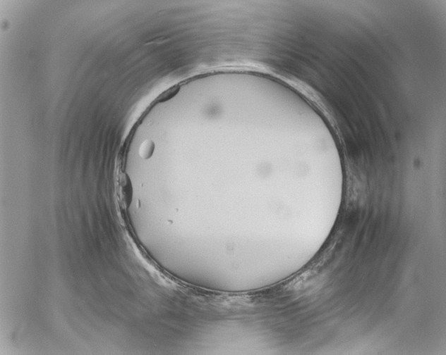 X0000053051006200508081124