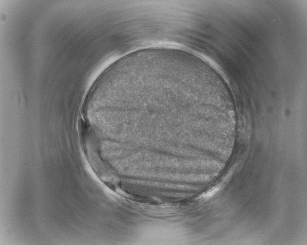 X0000053051007200508081124