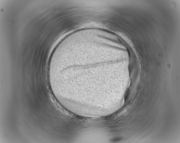 X0000053051008200508081124