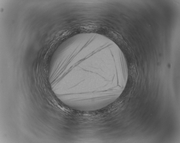 X0000053051009200508081123