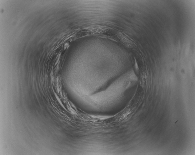 X0000053051010200508081123