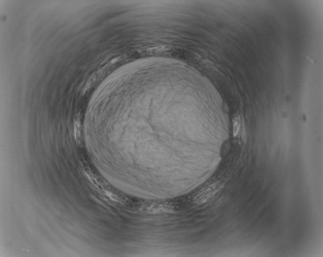 X0000053051011200508081123