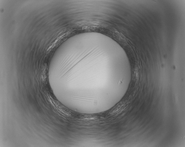 X0000053051012200508081123