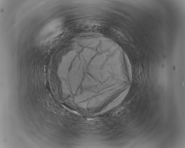 X0000053051013200508081123