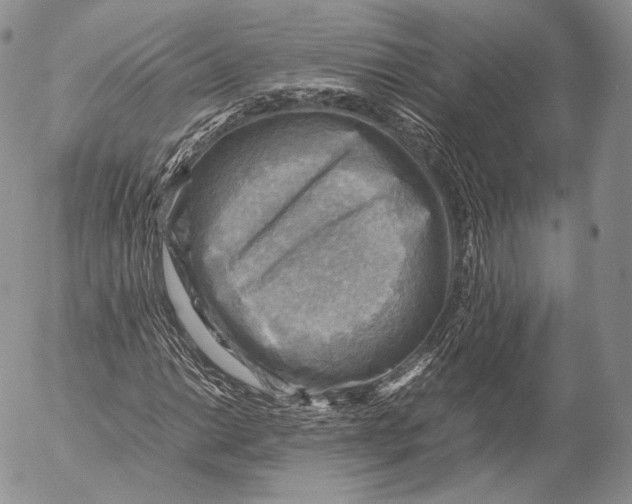 X0000053051014200508081123