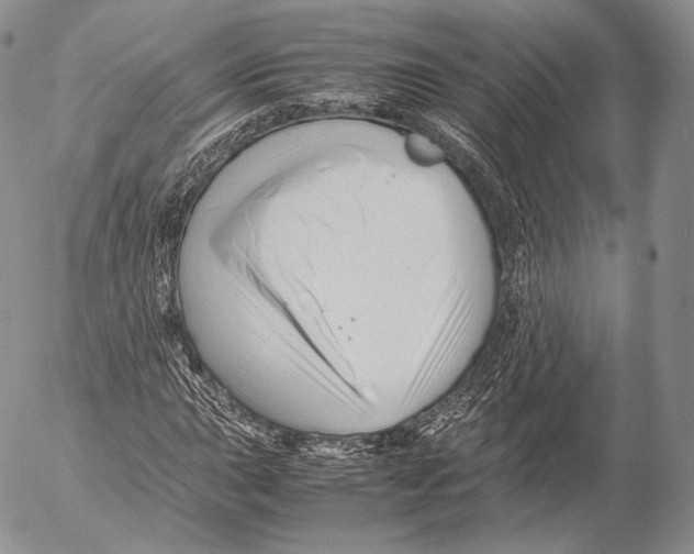 X0000053051015200508081123