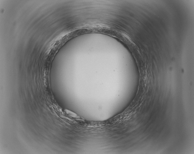 X0000053051016200508081123