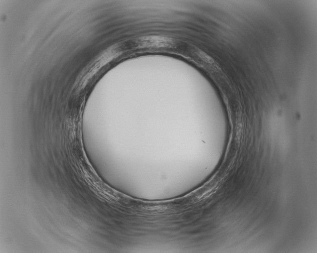 X0000053051017200508081123