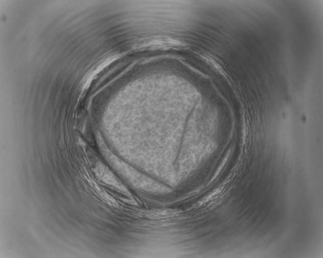 X0000053051018200508081123