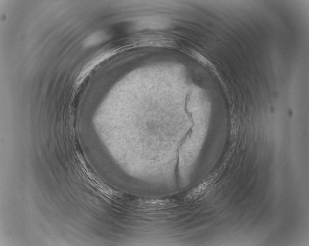 X0000053051019200508081123