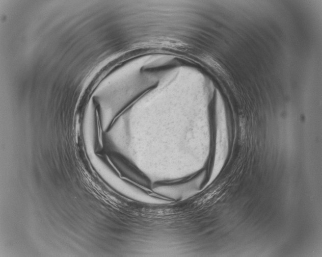 X0000053051020200508081123