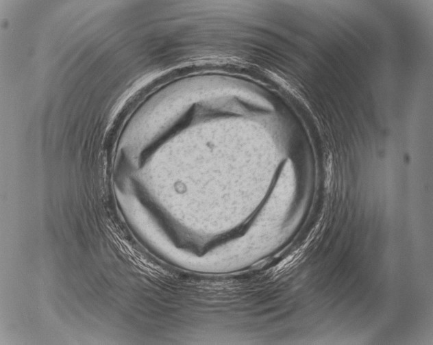 X0000053051021200508081123