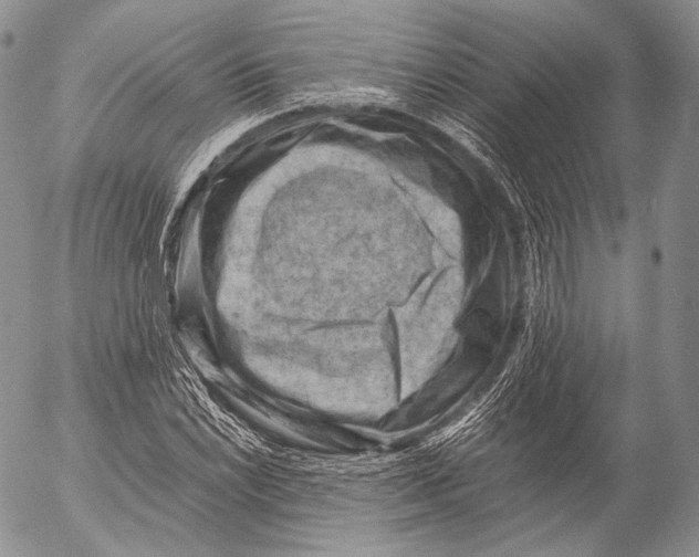 X0000053051022200508081123