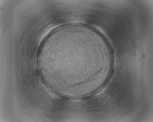 X0000053051023200508081123