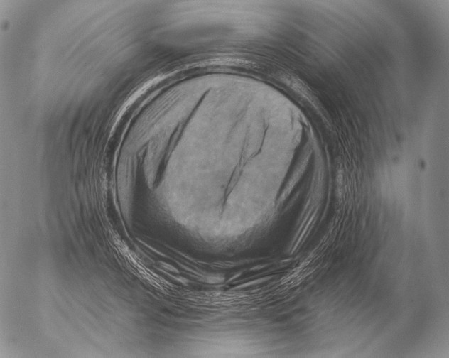 X0000053051024200508081123