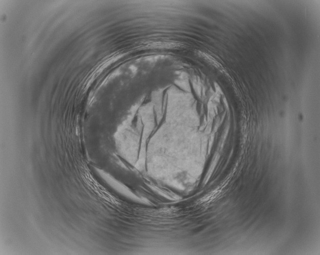 X0000053051025200508081123