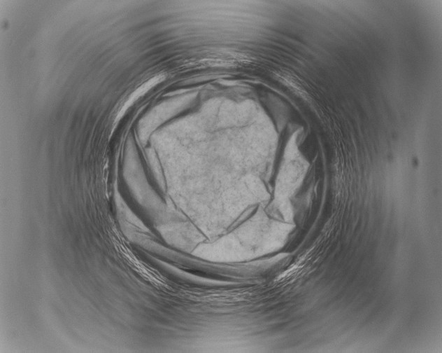 X0000053051026200508081123