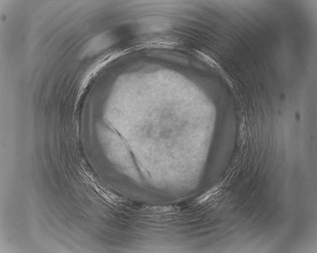 X0000053051027200508081123