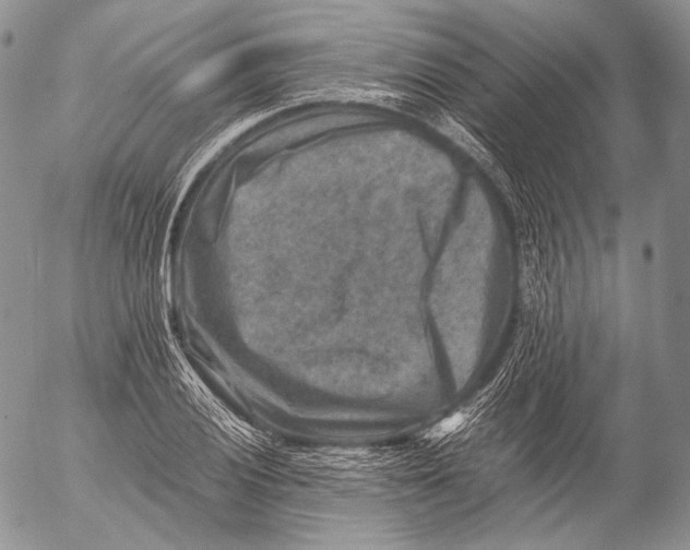 X0000053051028200508081123