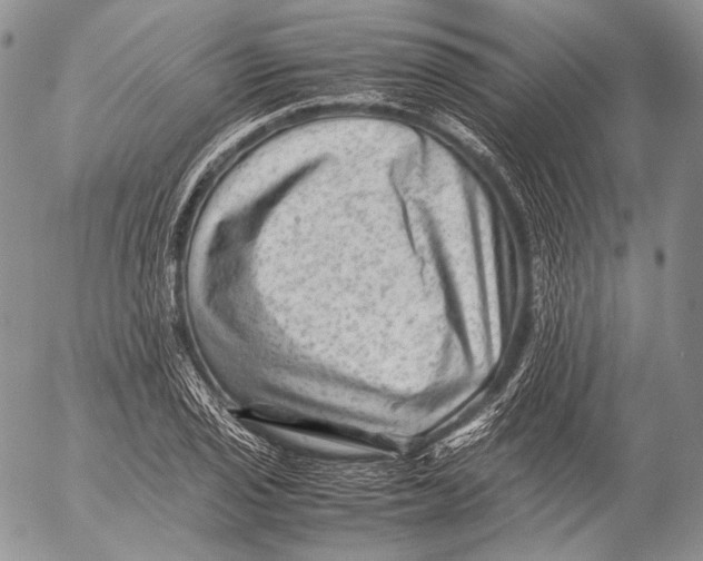 X0000053051029200508081123