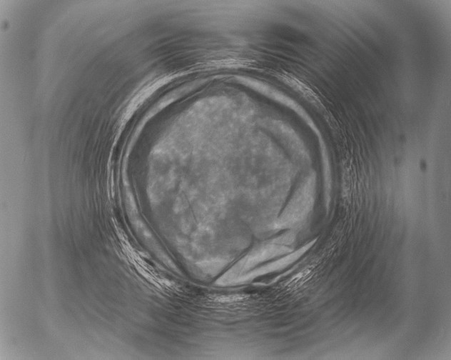 X0000053051031200508081123