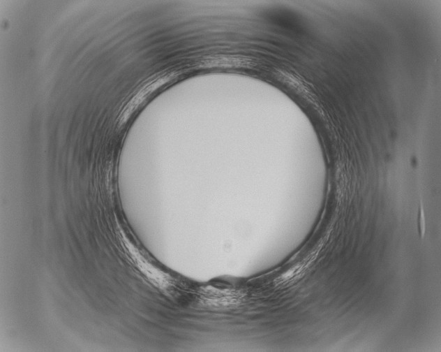 X0000053051033200508081123