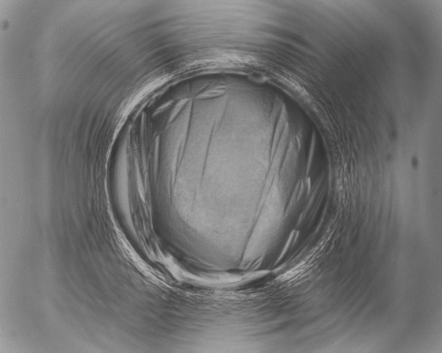 X0000053051034200508081123