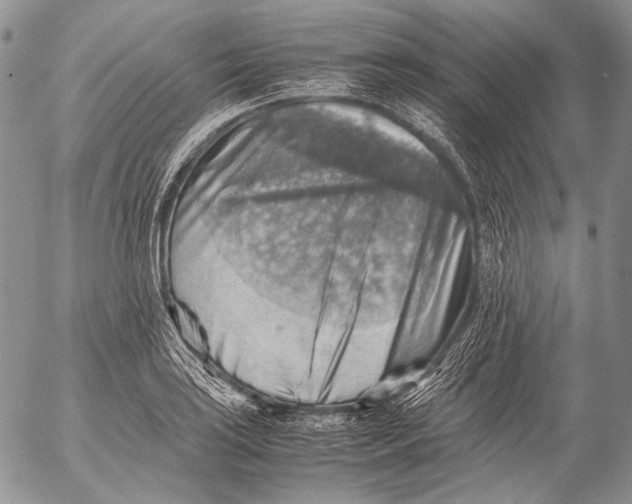 X0000053051035200508081123