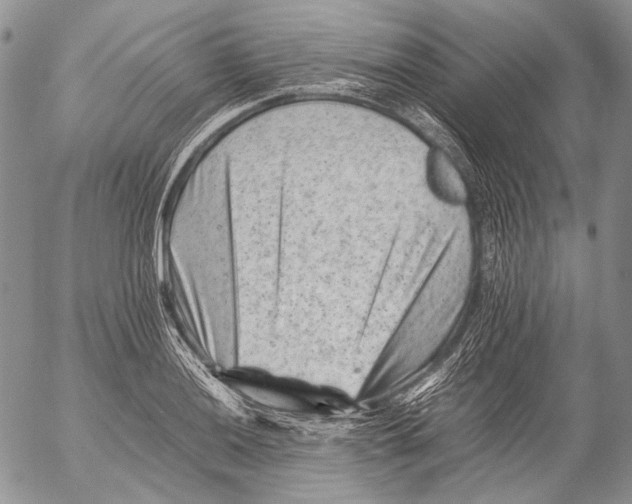 X0000053051036200508081123