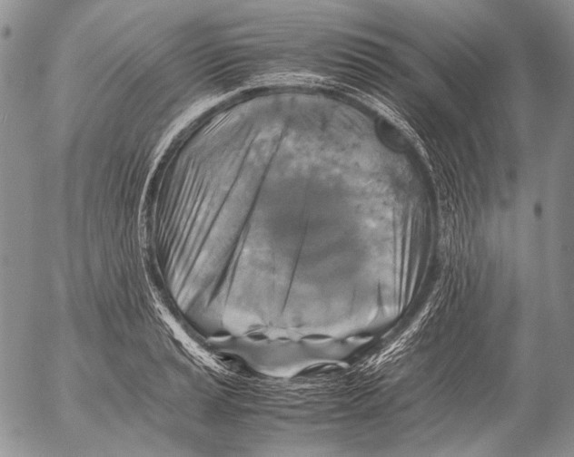 X0000053051037200508081123