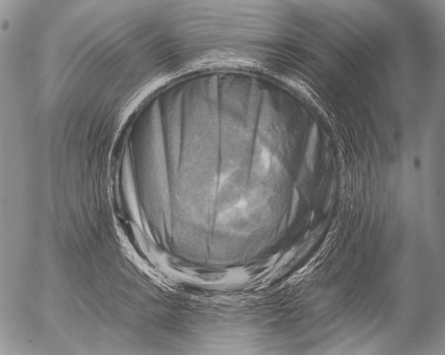 X0000053051038200508081123