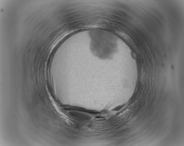 X0000053051039200508081123