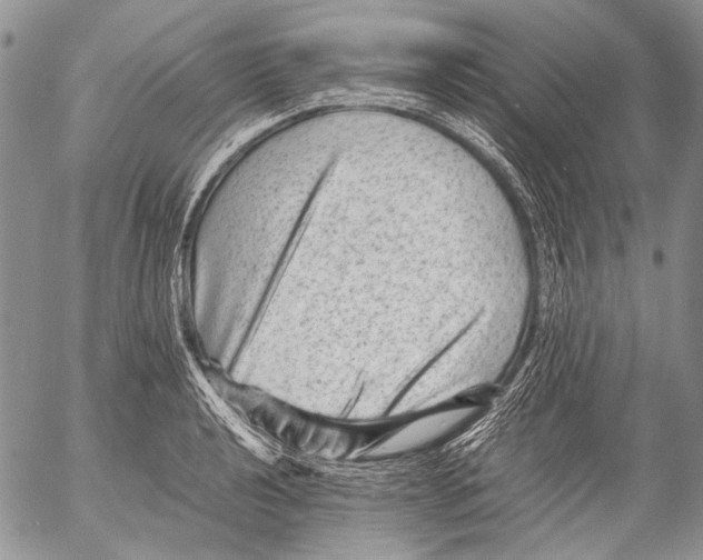 X0000053051040200508081123