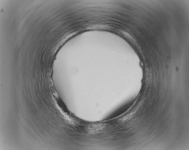 X0000053051041200508081123