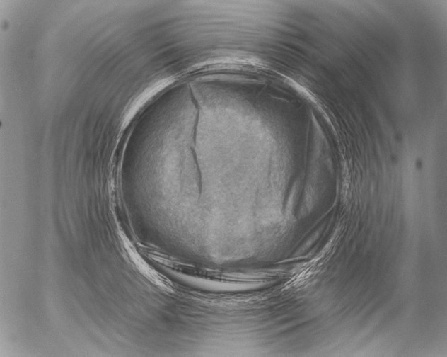 X0000053051042200508081123