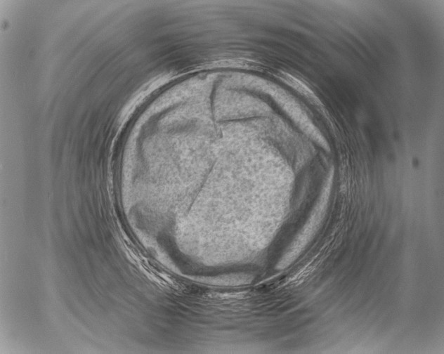 X0000053051043200508081123