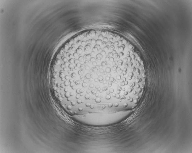 X0000053051044200508081123