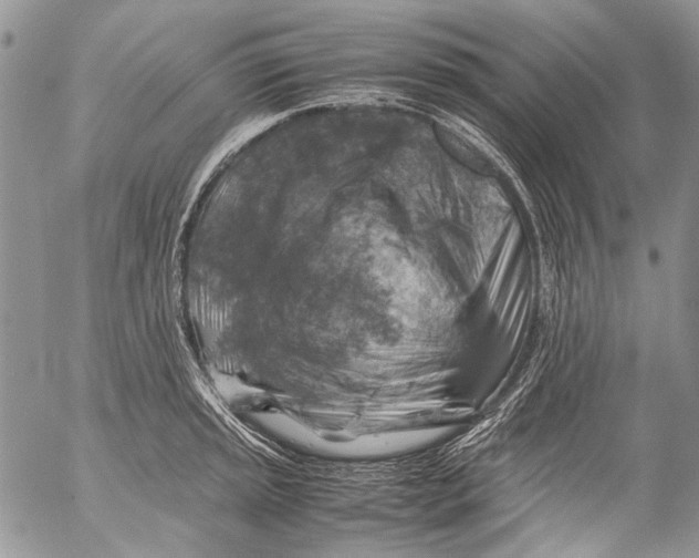 X0000053051045200508081123