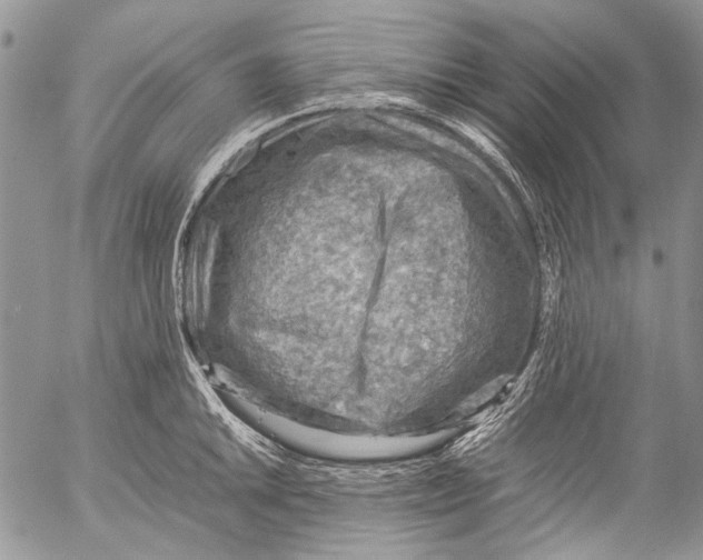 X0000053051046200508081123