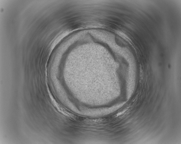 X0000053051047200508081123